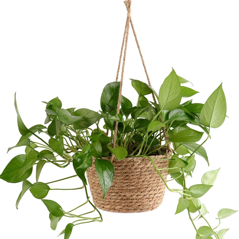 Macramé Garden Hanging Planter — Detail view