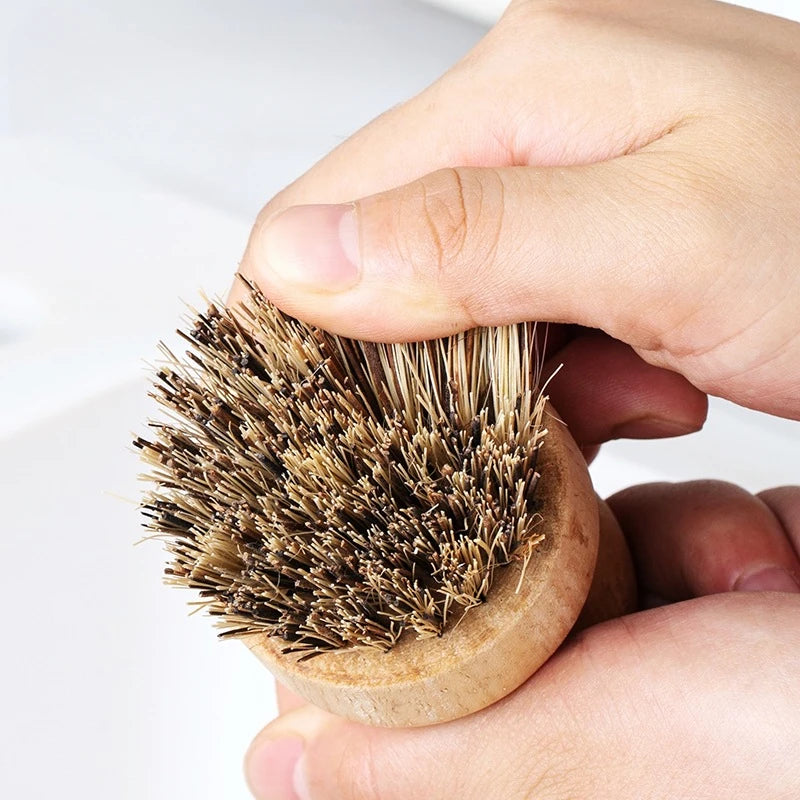 Wooden Dish Brushes — Set of 2 — In use