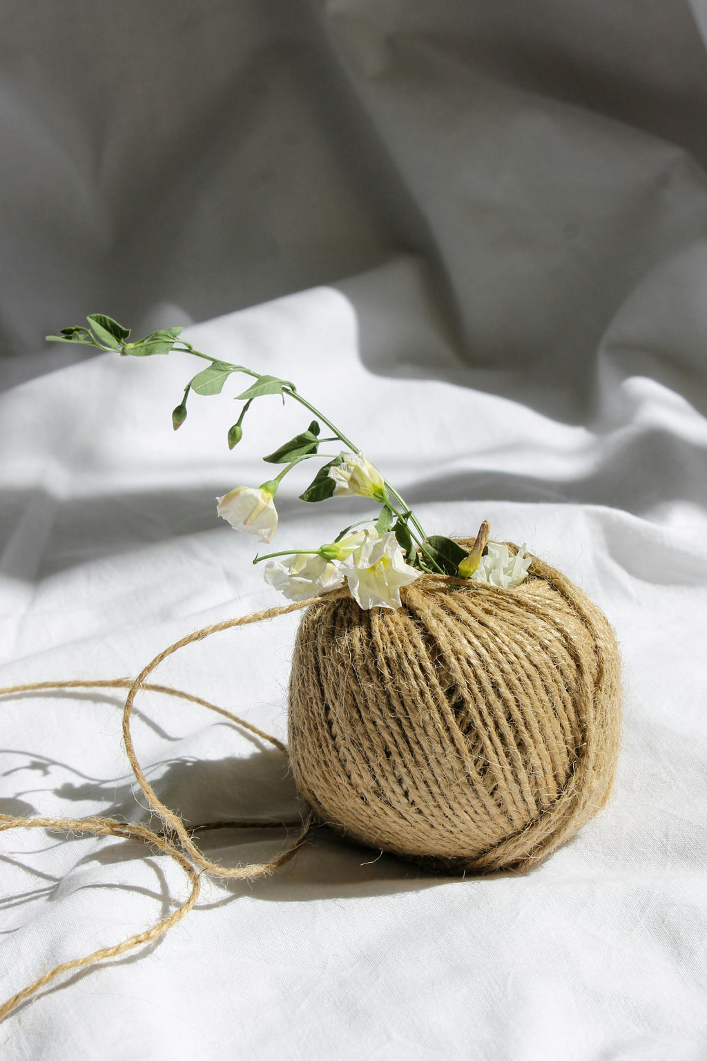 The Eco-Friendly Jute Rope — View 1