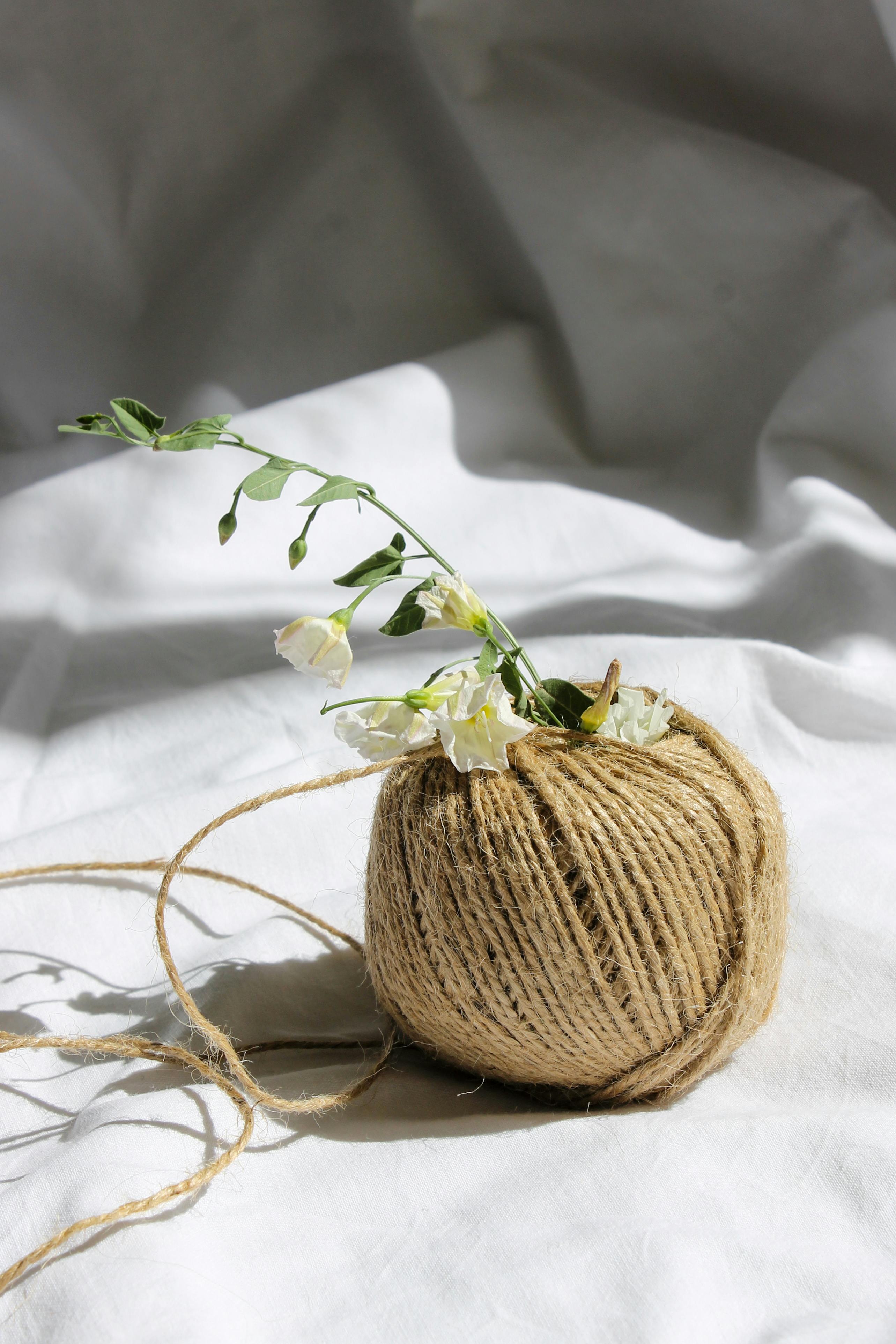 The Eco-Friendly Jute Rope — View 1