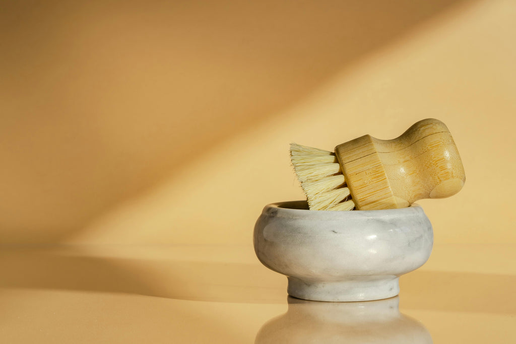 Wooden Dish Brushes — Set of 2